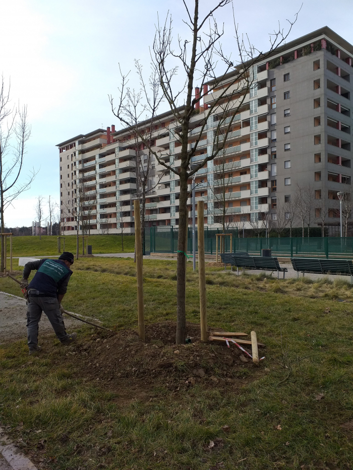I nuovi alberi del Bilancio Partecipativo al Giardino Franca Rame